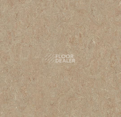 Линолеум Forbo Marmoleum Decibel on Order 580335 weathered sand фото 1 | FLOORDEALER